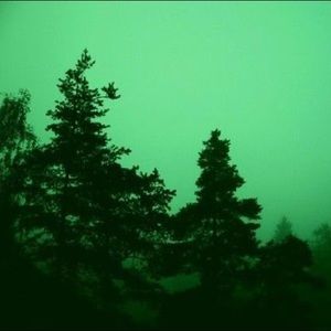 Meet your Posher, Piper